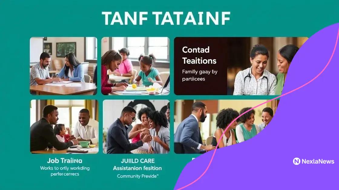 Services provided under the TANF program