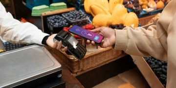 Maximize Grocery Savings: Credit Cards with Up to 15% Cash Back - Cover Image