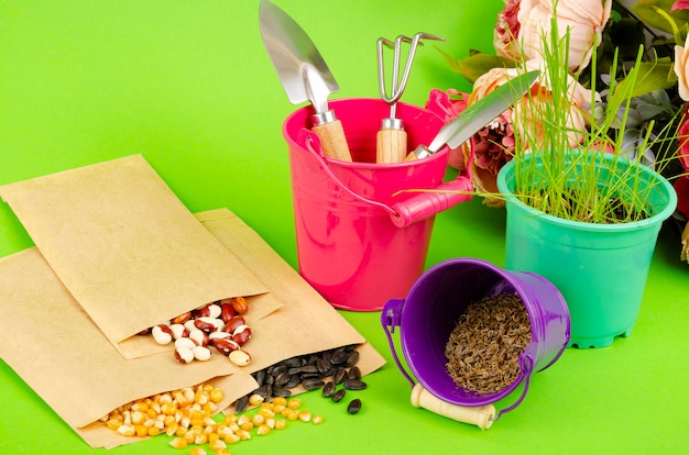 Get Free Seeds: Your Guide to Free Seed Packets This Spring